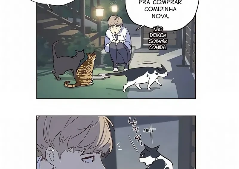 Página 49