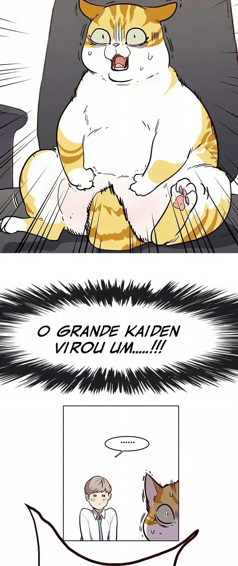Página 108