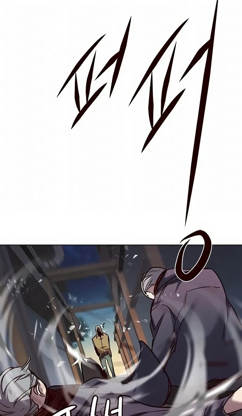Página 117