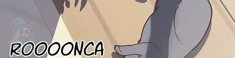 Página 45
