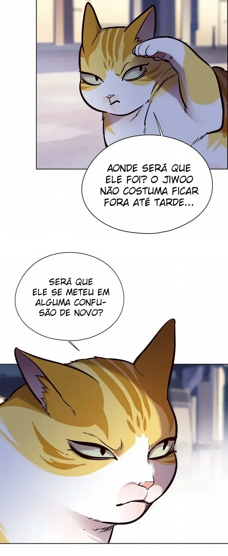 Página 113