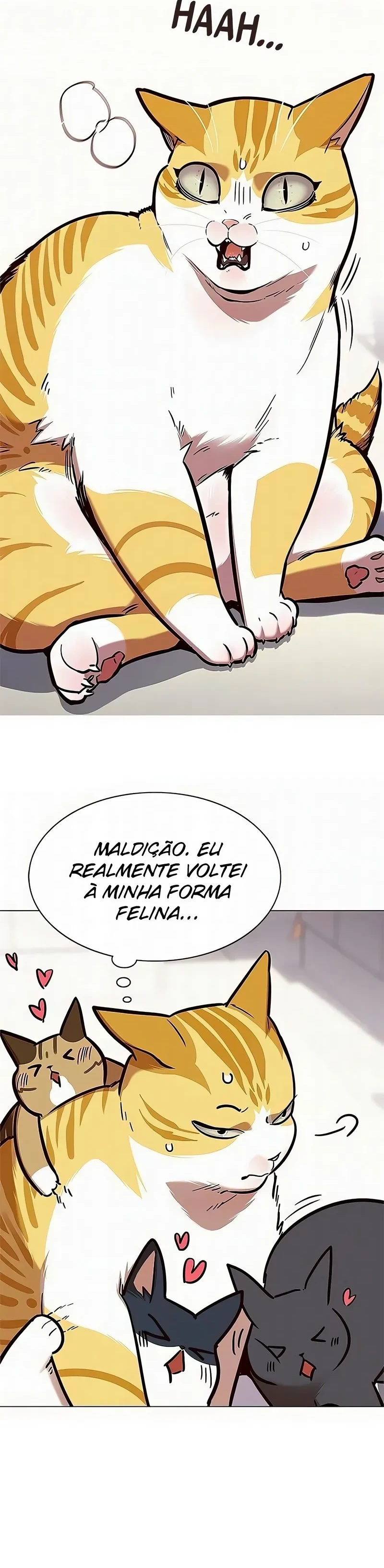 Página 142
