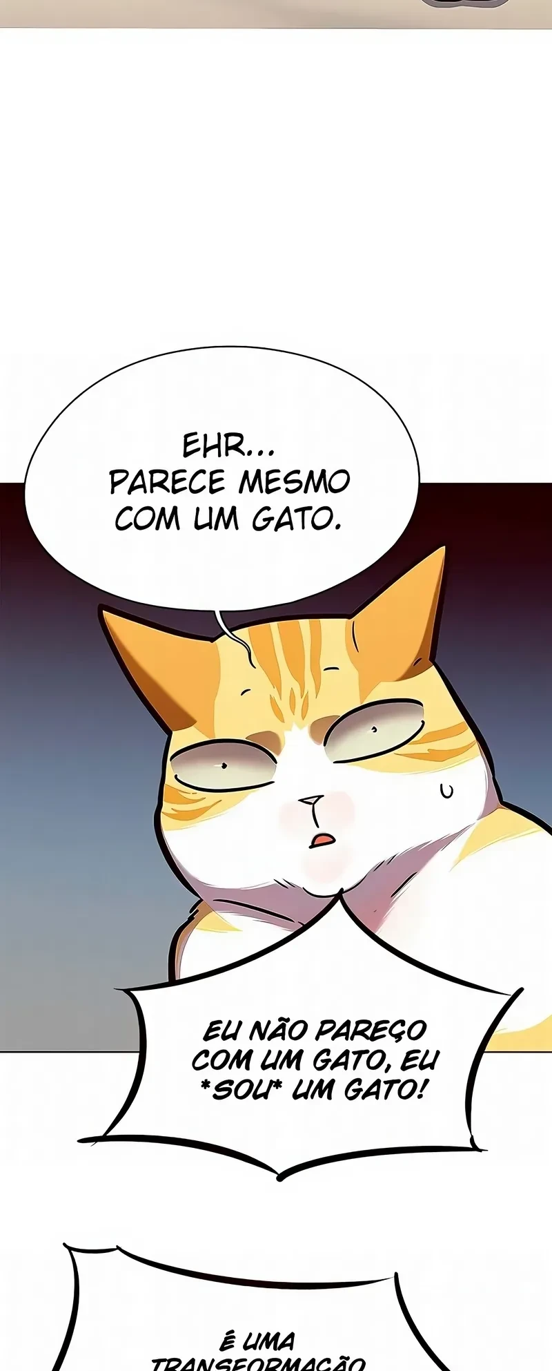Página 111