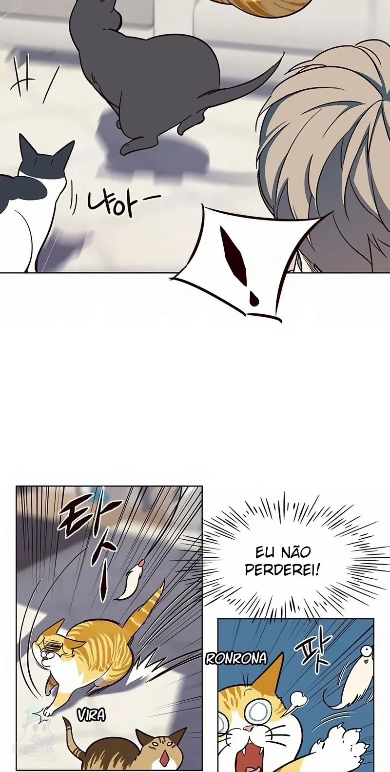 Página 40