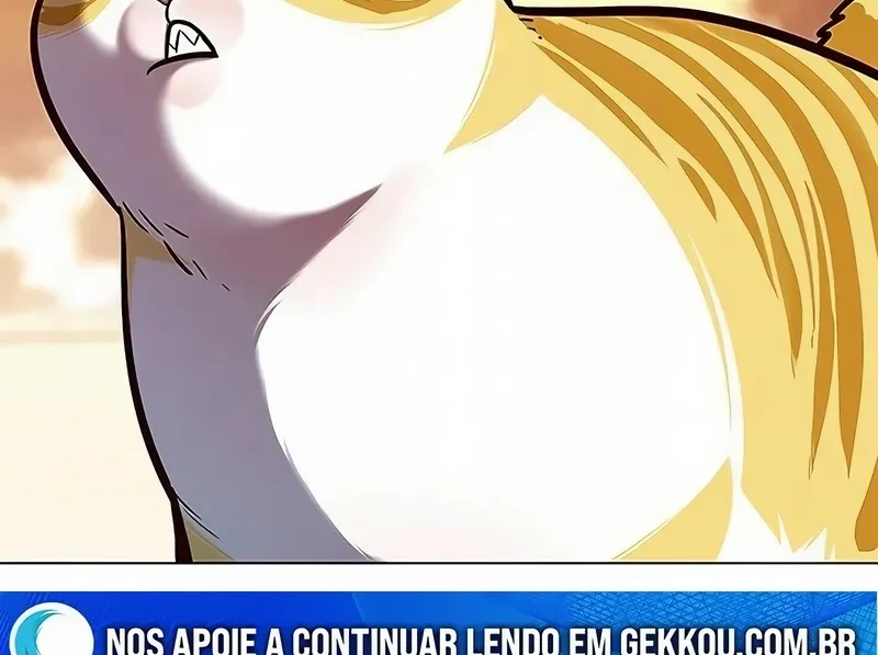 Página 147