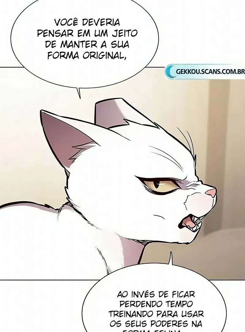 Página 41
