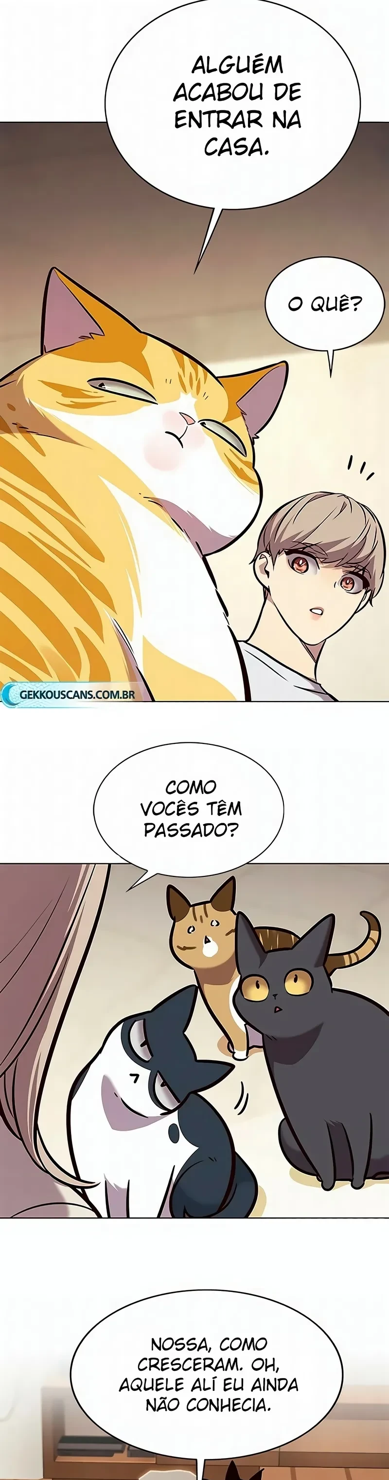 Página 121