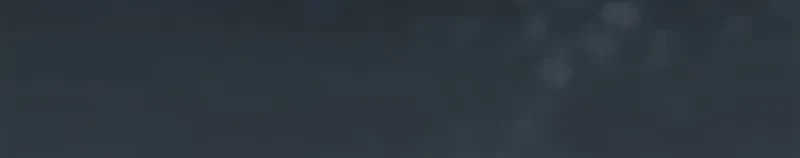 Página 79