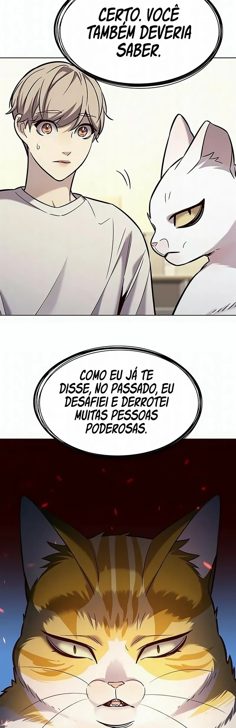 Página 43
