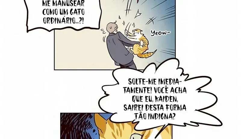 Página 41