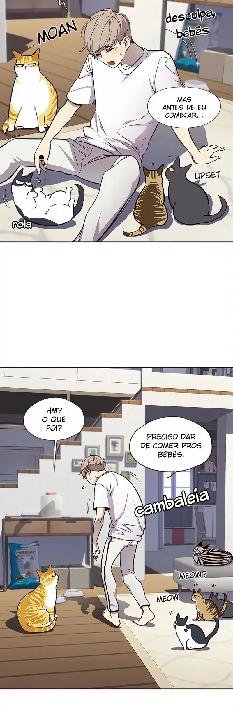 Página 27