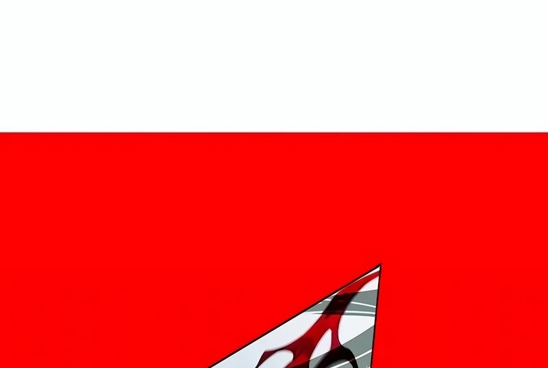 Página 117