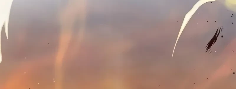 Página 121