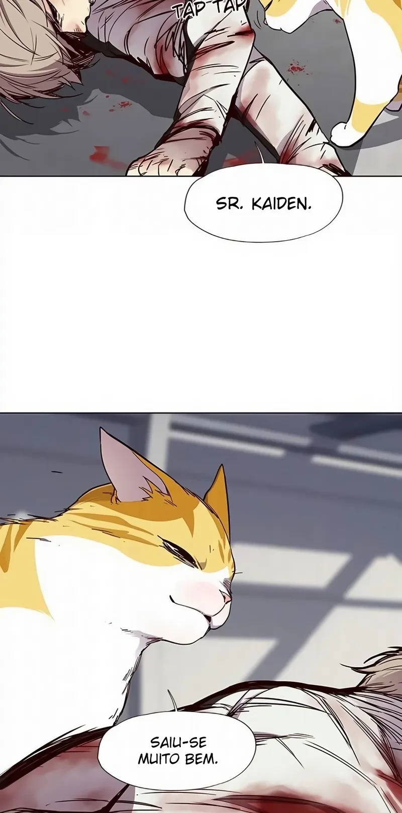 Página 96