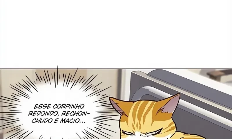 Página 46