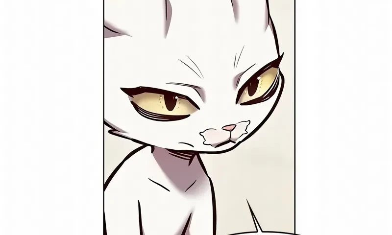 Página 46