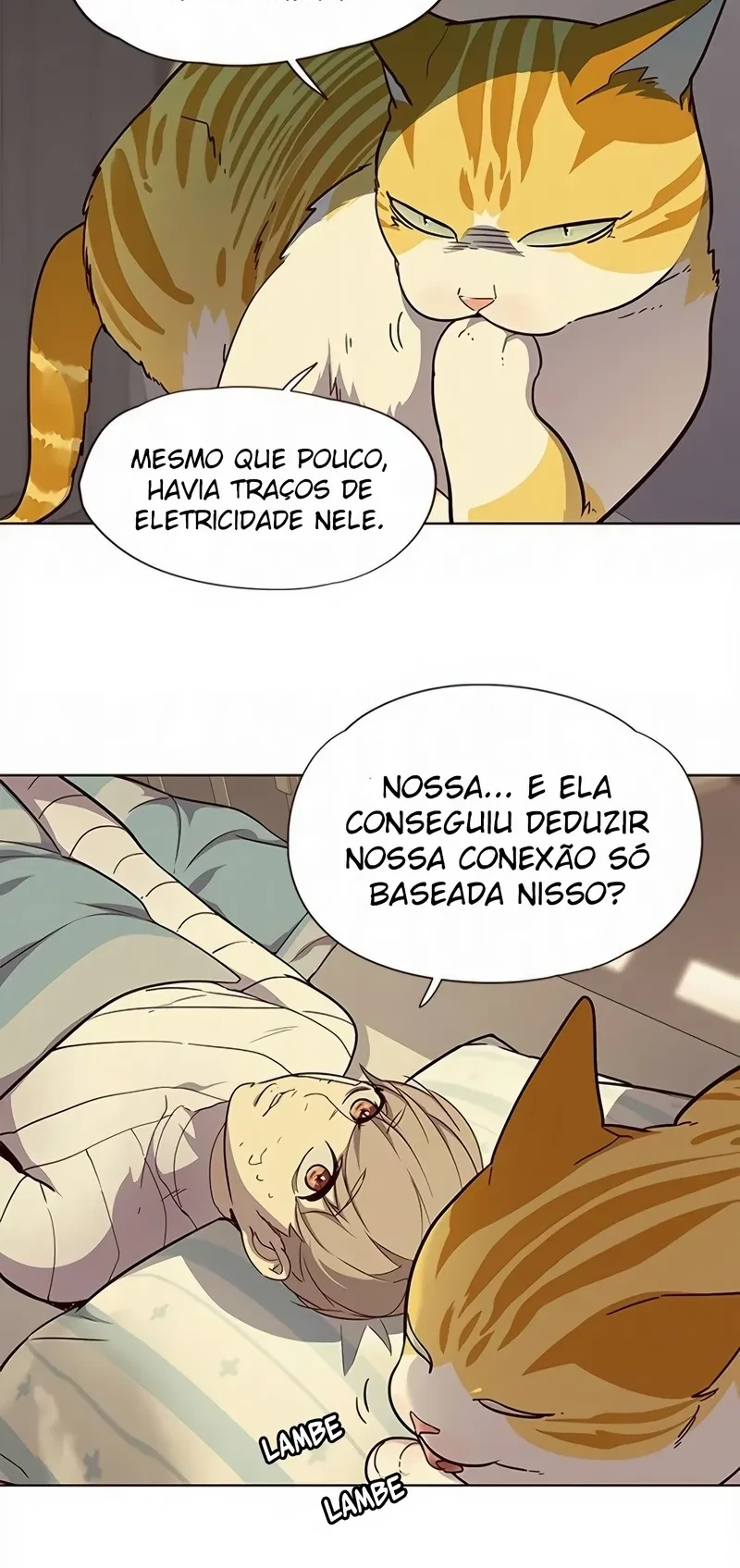 Página 28