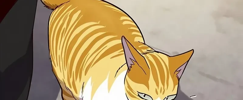 Página 99
