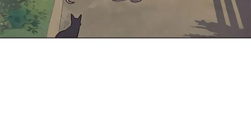 Página 47