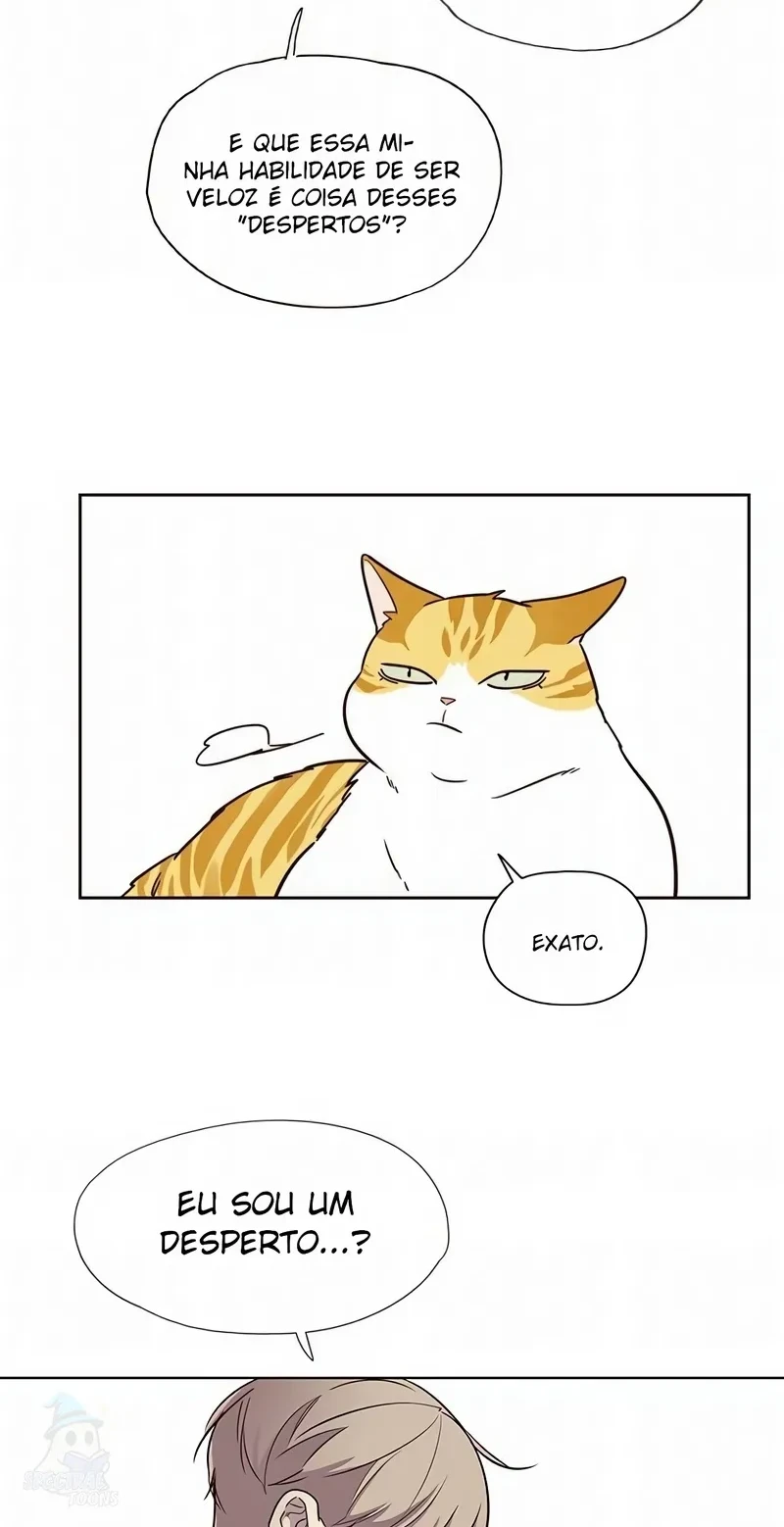 Página 40