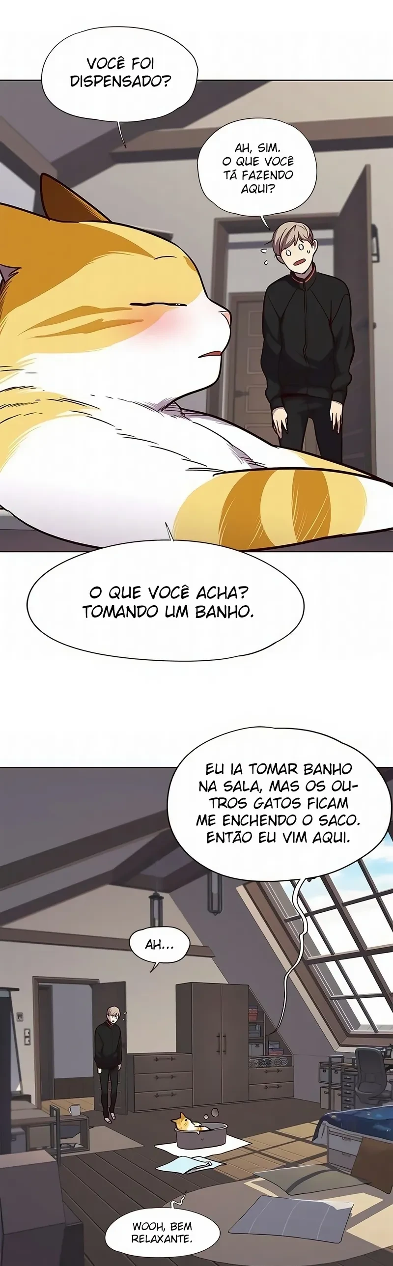 Página 46