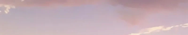 Página 61