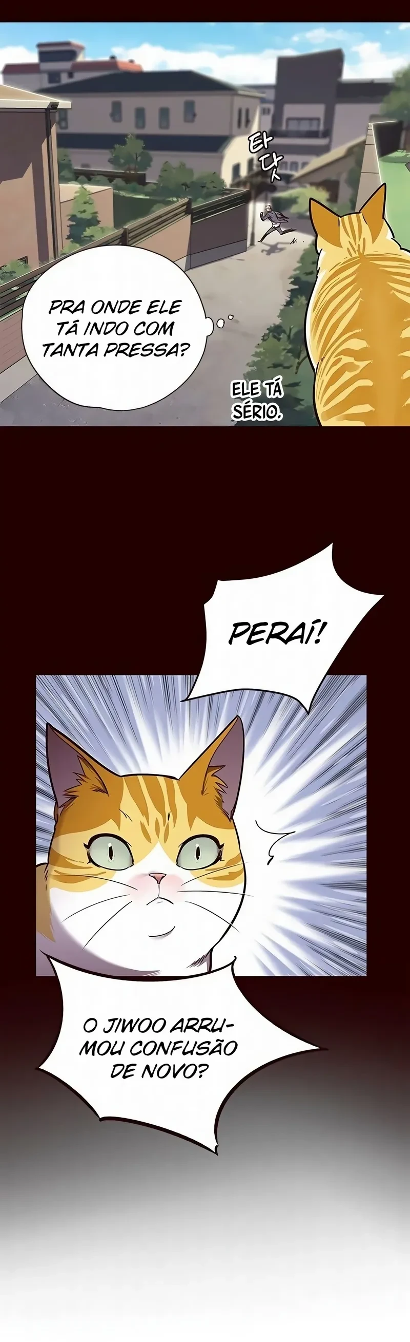 Página 49