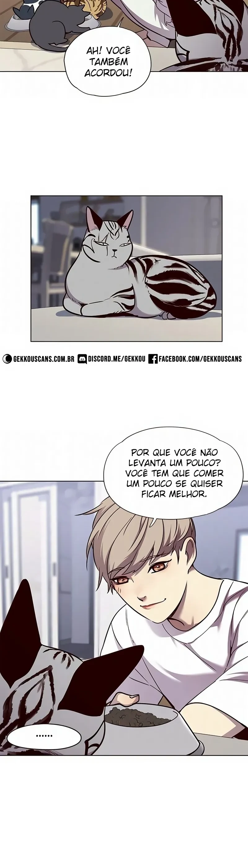 Página 19