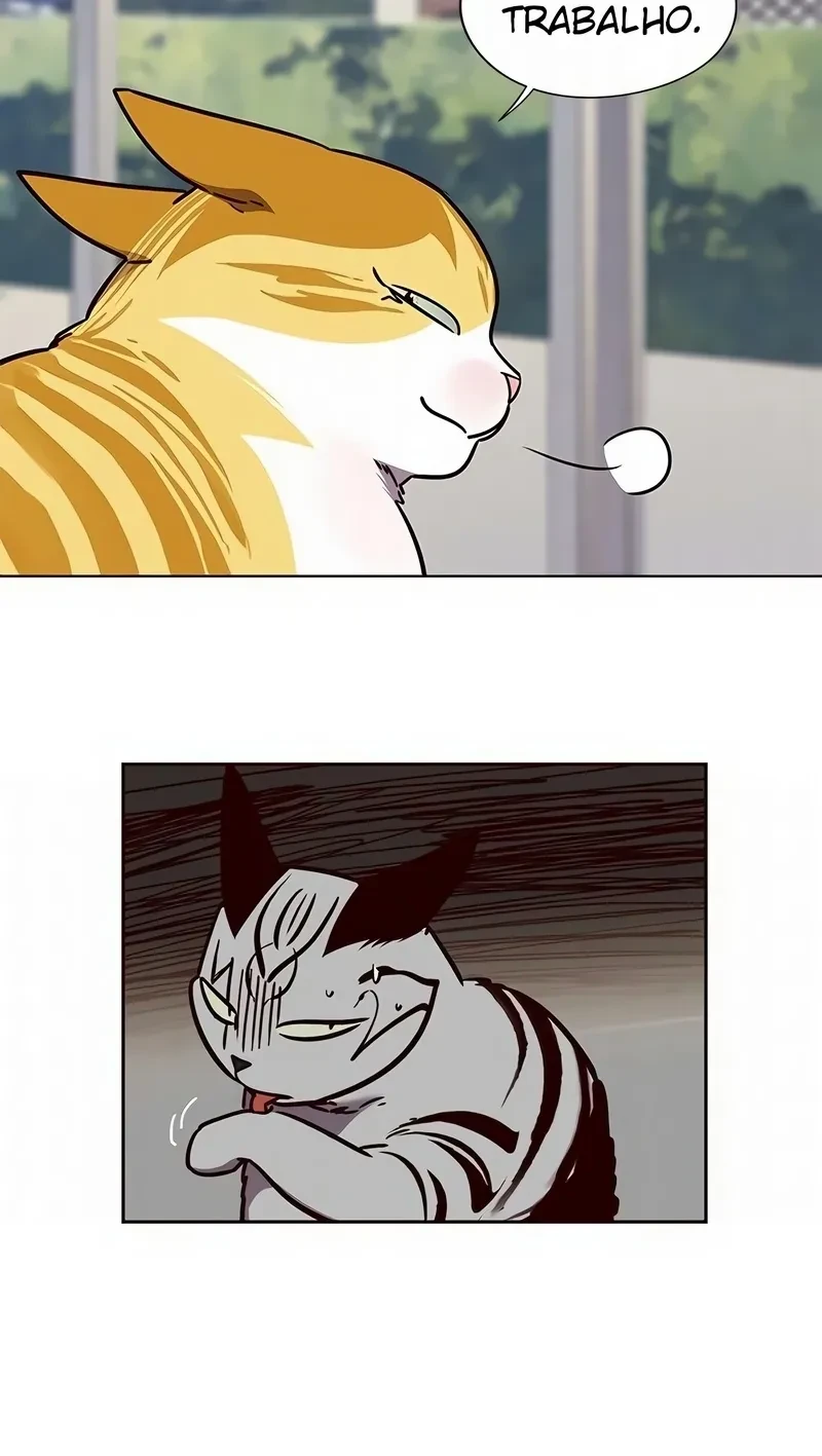 Página 51