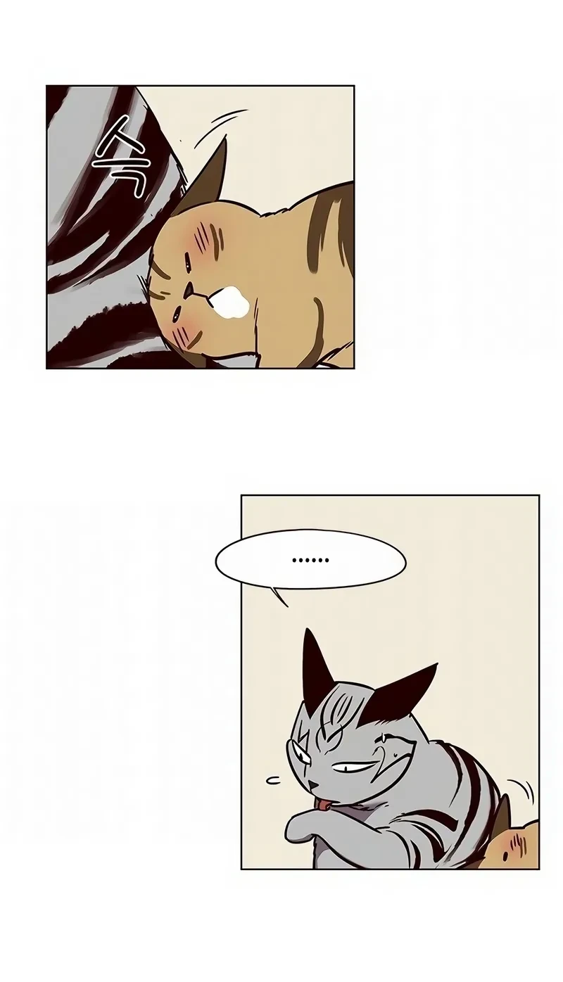 Página 58