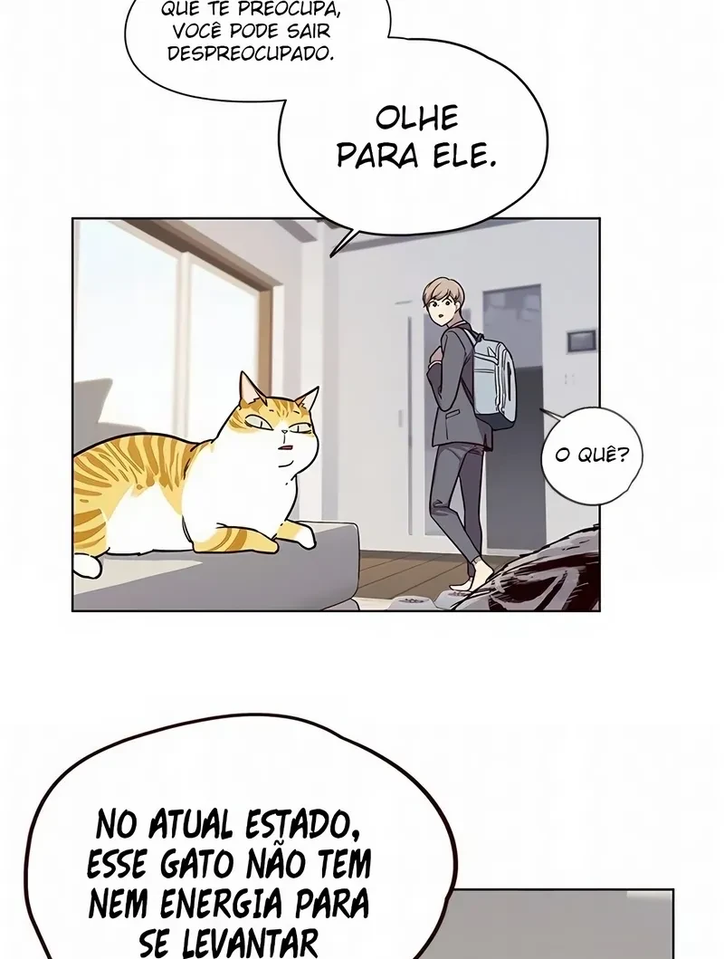 Página 46