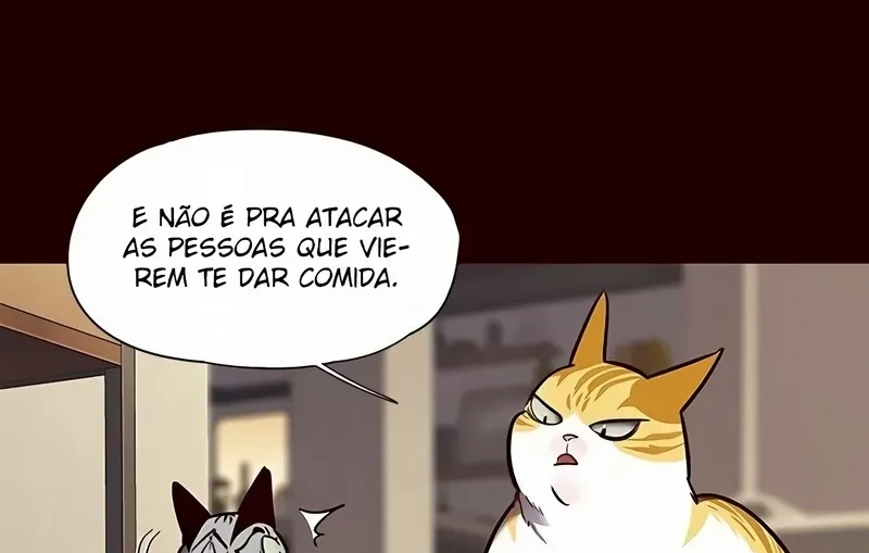 Página 47