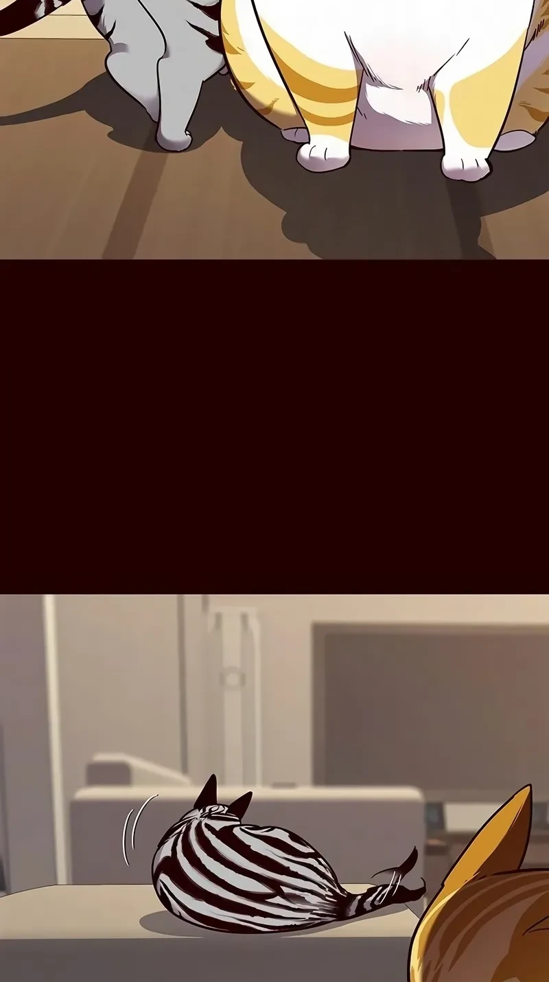 Página 57