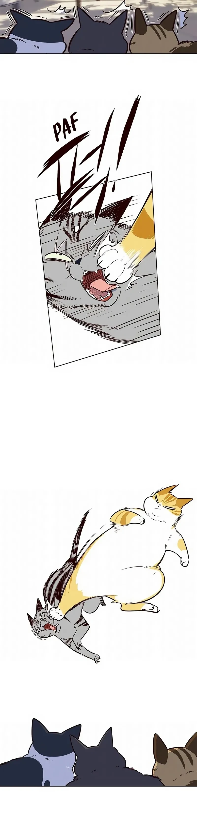 Página 82