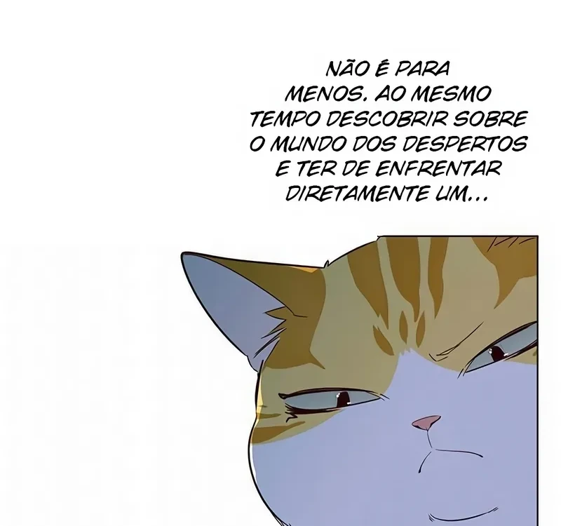Página 47