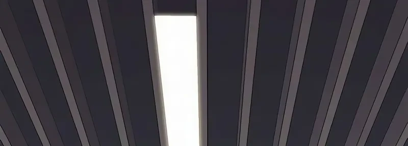 Página 66