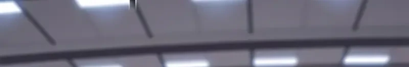 Página 81