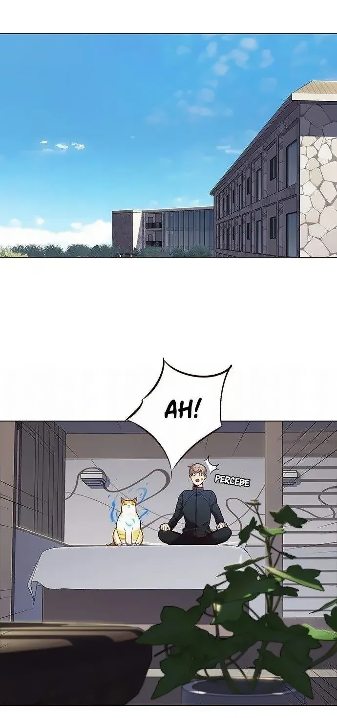 Página 43