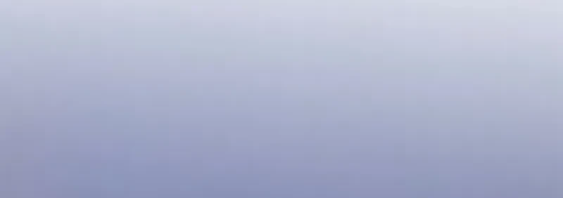 Página 113